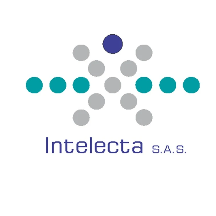 intelectasas.com